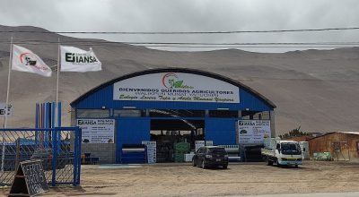 Adela, Valle de Azapa Km 17