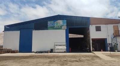 Agrinort, Valle de Lluta Km 18