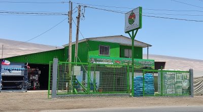 Agro Campo, Valle de Azapa Km 20