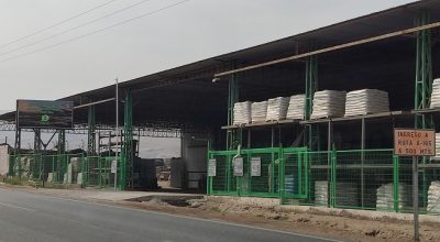 Comercializadora Arce, Valle de Azapa Km 21