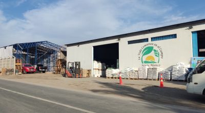 Norte Blanco, Valle de Azapa, Km 30