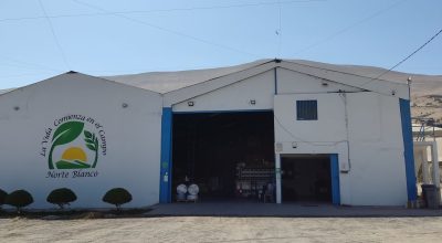 Norte Blanco, Valle de Azapa, Km 13