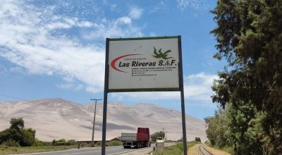 Las RIveras, Valle de Lluta Km 19