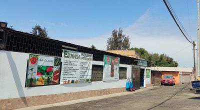 Mi Bodega, Valle de Azapa Km 12