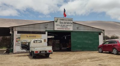 Oasis del Valle, Valle de Lluta Km 17