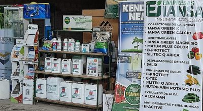 San Vicente, Valle de Azapa